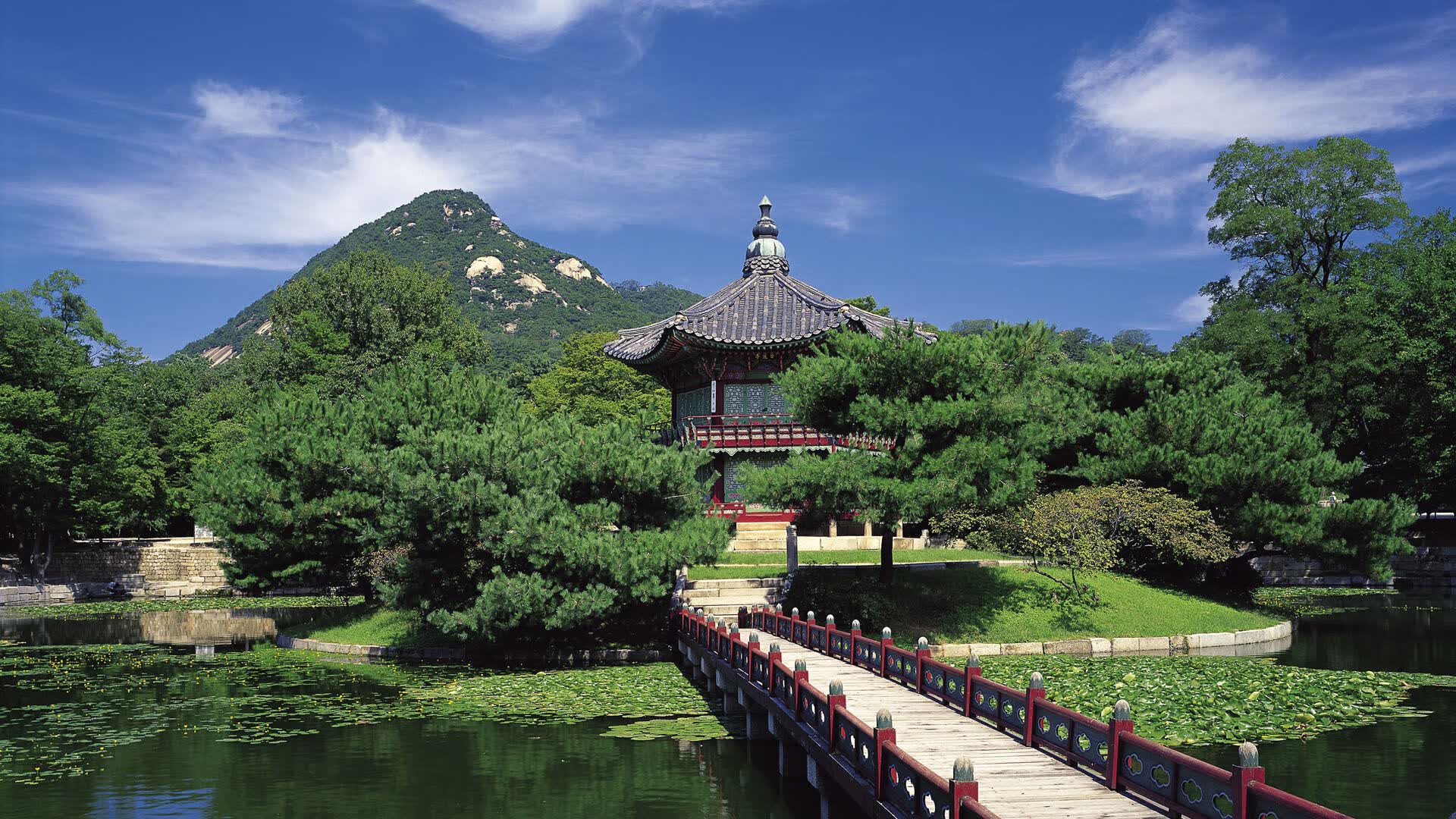 世界短道速滑选手转型案例:退役后职业发展路径,短道速滑退役后做什么
